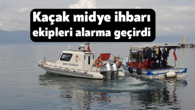 Kocaeli'nin Karamürsel ilçesinde denize açılan teknedeki kişilerin dalış yaptığını gören