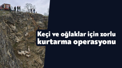 Kocaeli Büyükşehir İtfaiyesi, sadece yangınlara müdahale etmekle kalmıyor, aynı zamanda