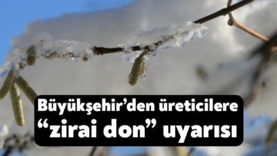 Kocaeli Büyükşehir Belediyesi, hava sıcaklıklarında beklenen düşüş nedeniyle zirai don
