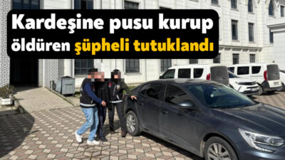 Kocaeli'nin Darıca ilçesinde kardeşini işe gitmek için tırına bindiği sırada