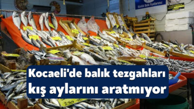 Denizlerde büyük tekneler için başlayan av yasağına rağmen, Kocaeli'deki balıkçı
