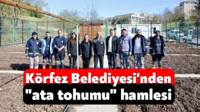 Kocaeli'nin Körfez ilçesinde belediye tarafından yaklaşık 1 dönümlük arazide