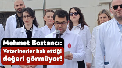 Kocaeli Veteriner Hekimleri Odası, Dünya Veteriner Hekimleri Günü nedeniyle İzmit’teki