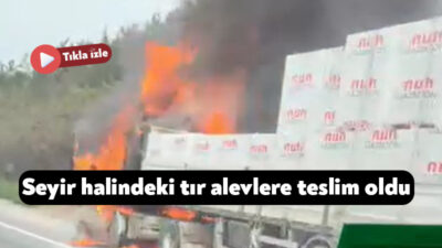 TEM Otoyolu Kocaeli geçişinde seyir halindeki bir tırda çıkan yangın