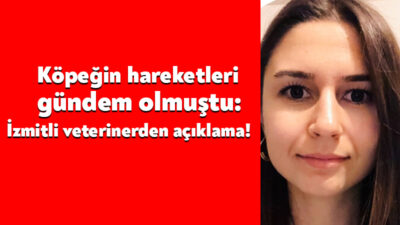 Veteriner hekim Nisa Demircan, sosyal medya gündem olan bir köpekteki
