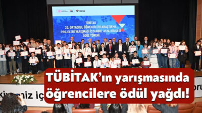 Türkiye Bilimsel ve Teknolojik Araştırma Kurumu Bilim İnsanı Destek Programları