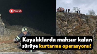 Kocaeli'nin İzmit ilçesinde yabani hayvandan ürkerek sarp kayalıklara tırmanan ve