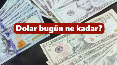 ABD Doları geçtiğimiz hafta yaşanan sert düşüşün sonrasında istikrar kazandı.