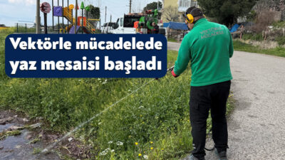 Kocaeli’de yaz aylarının yaklaşmasıyla birlikte sivrisinek ve karasinek tehdidine karşı