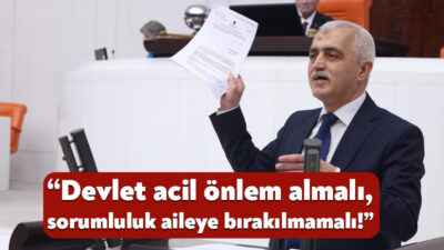 DEM Parti Kocaeli Milletvekili Ömer Faruk Gergerlioğlu, TBMM Genel Kurulu'nda