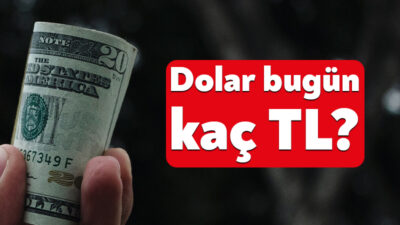 30 MAYIS DÖVİZ KURU: Döviz kurlarında hareketlilik devam ediyor. Yeni