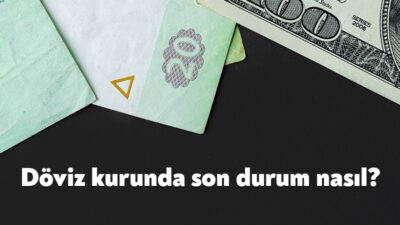 Döviz kuru, iç ve dış piyasadaki gelişmeler üzerinde belirleyici olmaya