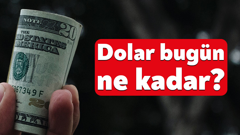 6 HAZİRAN DÖVİZ KURU: Döviz kurlarında hareketlilik devam ediyor. Yeni