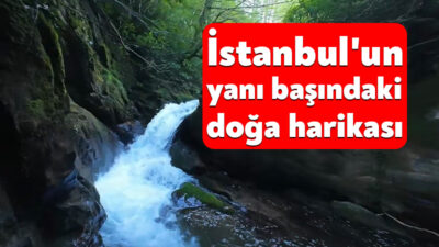 İstanbul'a yaklaşık 120 kilometre uzaklıkta bulunan Kocaeli'deki İnönü Yaylası ve