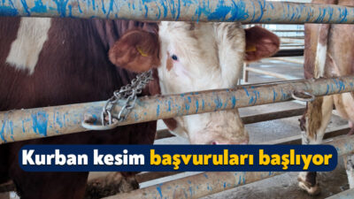 Kocaeli Büyükşehir Belediyesi, Kurban Bayramı öncesinde vatandaşların kurban kesim işlemlerini