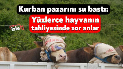 Kocaeli'nin Başiskele ilçesinde doluluk oranı yüzde 99'a ulaşan Yuvacık Barajı'nda