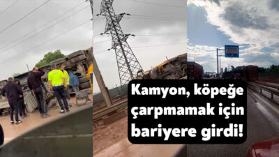 Kocaeli'nin Başiskele ilçesinde yola aniden çıkan köpeğe çarpmamak için manevra
