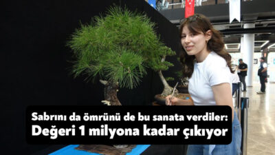 Ömürlerini bonsai sanatına adayan sanatçılar, ağaç ve odunsu bitkileri yıllar