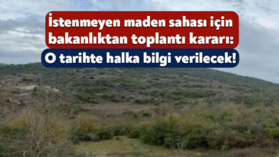 Sedef Kireç Şirketi, Körfez’deki maden tesisi için ikinci kez ÇED