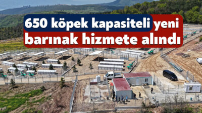 Kocaeli Büyükşehir Belediyesi, sahipsiz köpekleri sıcak yuvada buluşturacağı yeni barınağı