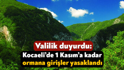 Kocaeli Valiliği tarafından alınan kararla kent genelindeki ormanlık alanlara girişler