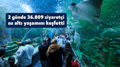 Kocaeli’nin yeni vitrini Körfez Aqua Kıtalar Akvaryumu, açılışının ilk iki