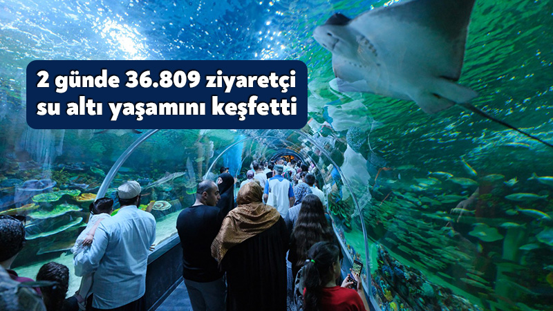 2 günde 36.809 ziyaretçi su altı yaşamını keşfetti Kocaeli’nin yeni vitrini Körfez Aqua Kıtalar Akvaryumu, açılışının ilk iki