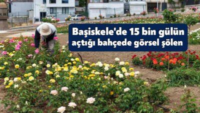 Kocaeli'nin Başiskele ilçesinde 160 farklı çeşitte 15 bin gülün yer