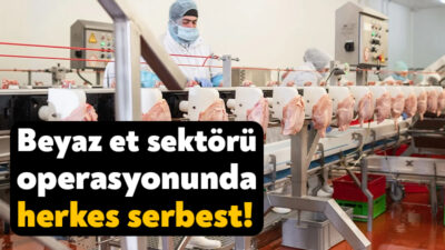 CHP Kocaeli eski İl Başkanı Bülent Sarı’nın da ortağı olduğu