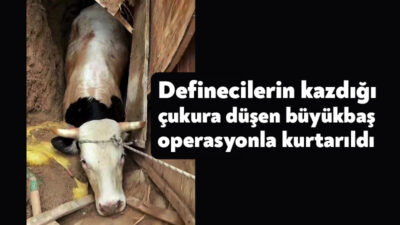 Kocaeli'nin İzmit ilçesinde defineciler tarafından kazıldığı düşünülen 15 metre derinliğindeki