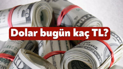 Döviz kuru, ekonomik ve finansal göstergeler üzerinde belirleyici olmayı sürdürüyor.