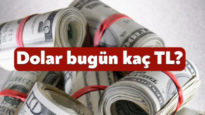 Döviz kurundaki hareketlilik haftanın son işlem gününde de devam ediyor.