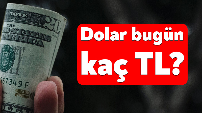 Dünyada ve Türkiye’de yaşanan gelişmeler döviz kuru üzerinde belirleyici oluyor.