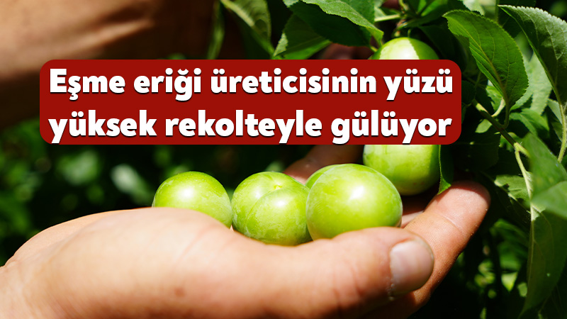 Kocaeli'nin Kartepe ilçesinde kendine has lezzeti, aroması ve sulu yapısıyla
