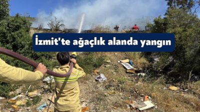 Kocaeli'nin İzmit ilçesinde ağaçlık alanda çıkan yangını söndürme çalışmaları devam