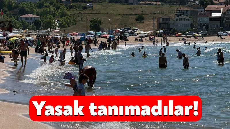 Kocaeli’nin bazı sahillerinde olumsuz deniz koşulları nedeniyle denize girmek yasaklanmıştı.