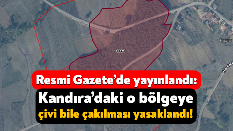Resmi Gazete’de yayınlandı: Kandıra’daki o bölgeye çivi bile çakılması yasaklandı! Kocaeli Üniversitesi’nde görev yapan Prof. Dr. Ayşe Çalık Ross, Kandıra’nın