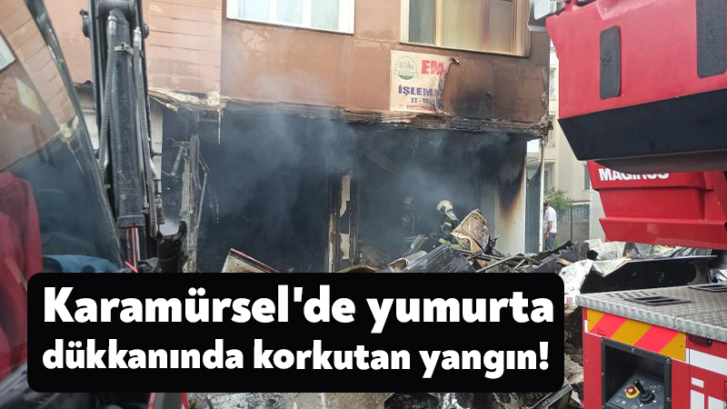 Kocaeli'nin Karamürsel ilçesinde yumurta ve et ürünleri satışı yapılan dükkanda