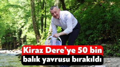 Kocaeli Büyükşehir Belediyesi, son 2 yılda 16 bin adet balık