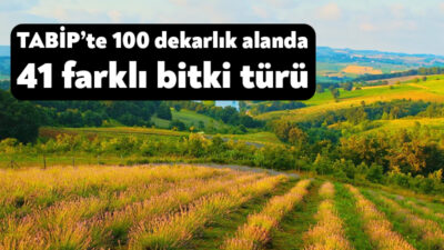 Kocaeli Büyükşehir Belediyesi’nin kırsal kalkınma vizyonu doğrultusunda hayata geçirdiği Tıbbi