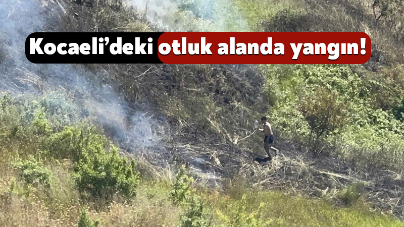 Kocaeli Darıca ilçesindeki otluk alanda yangın! Kocaeli'nin Darıca ilçesinde otluk alanda çıkan yangın, itfaiye ekipleri ve