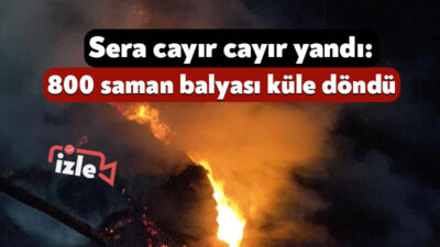 Kocaeli'nin İzmit ilçesinde serada çıkan bitişikteki ahıra sıçramadan kontrol altına