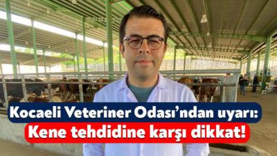 Havaların ısınmasıyla birlikte kene vakalarında artış yaşanırken, uzmanlar özellikle kırsal