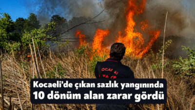 Kocaeli'nin Kartepe ilçesinde bulunan SEKA Kamp Piknik Alanı çevresindeki sazlık