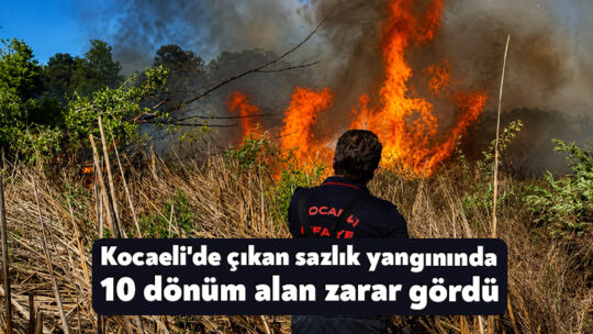 Kocaeli’de çıkan sazlık yangınında 10 dönüm alan zarar gördü Kocaeli'nin Kartepe ilçesinde bulunan SEKA Kamp Piknik Alanı çevresindeki sazlık