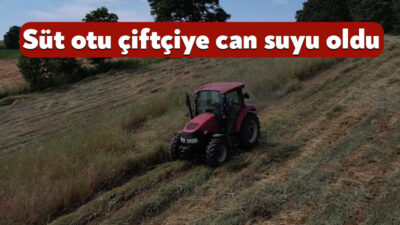 Kocaeli'de tarım ve hayvancılığı geliştirmek için yürütülen proje kapsamında üreticilere