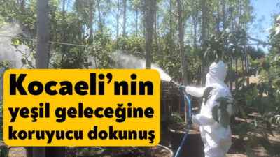 Kocaeli Büyükşehir Belediyesi’nin Başiskele ilçesinde bulunan Kullar Üretim Fidanlığı’nda yetiştirilen
