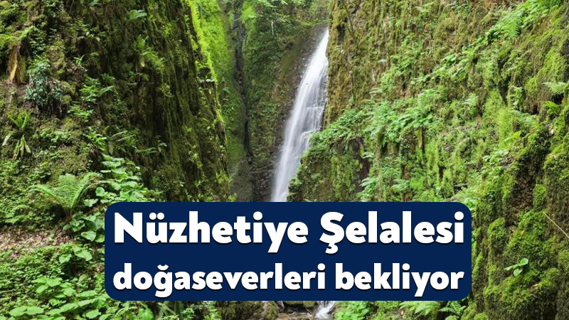 Kocaeli'nin Gölcük ilçesinde ormanlık alanın derinliklerinde yer alan Nüzhetiye Şelalesi,