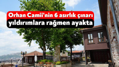 Kocaeli'nin İzmit ilçesinde kente hakim bir tepede yer alan 694