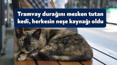 Kocaeli'nin İzmit ilçesinde Akçaray tramvay hattındaki Doğu Kışla istasyonunda yaşayan
